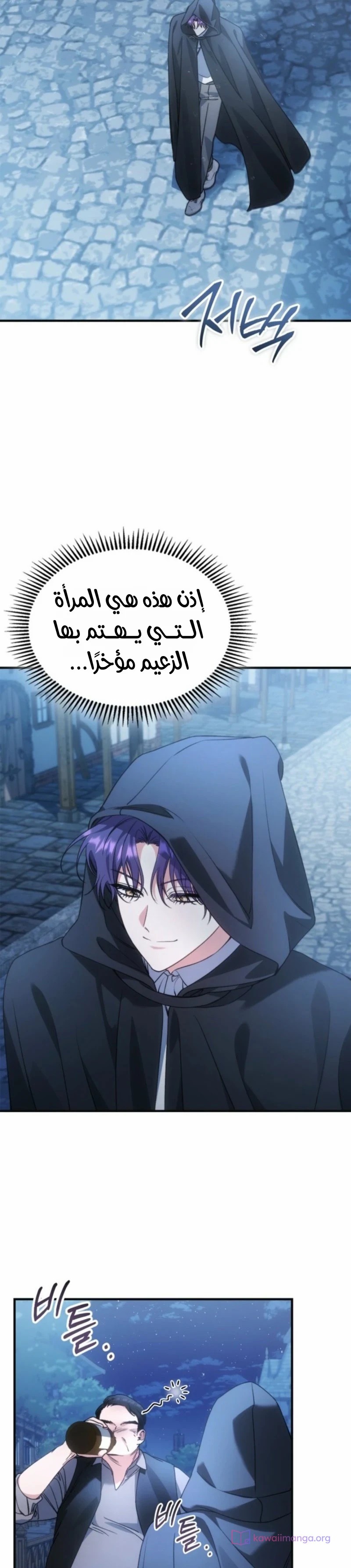 الصفحة 28
