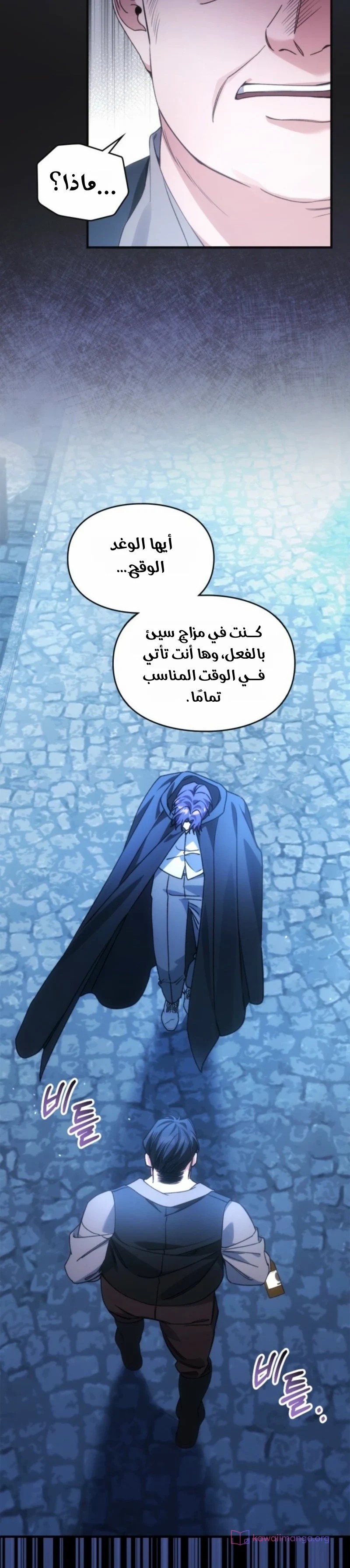 الصفحة 31