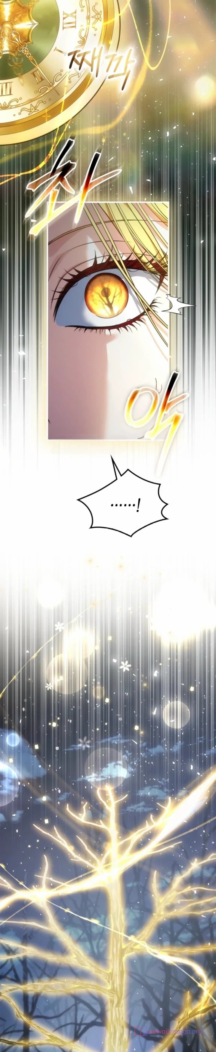 الصفحة 28