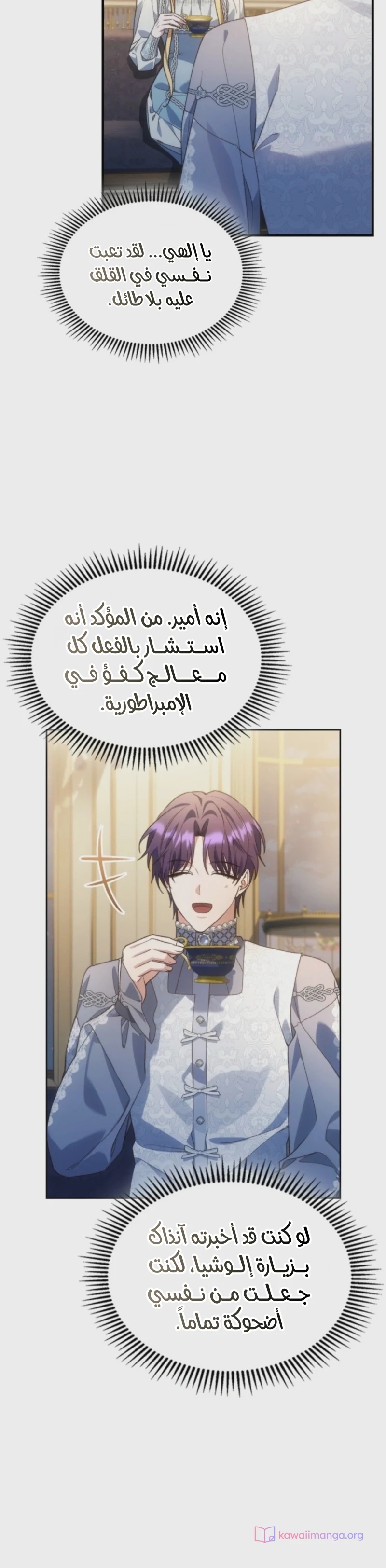 الصفحة 13