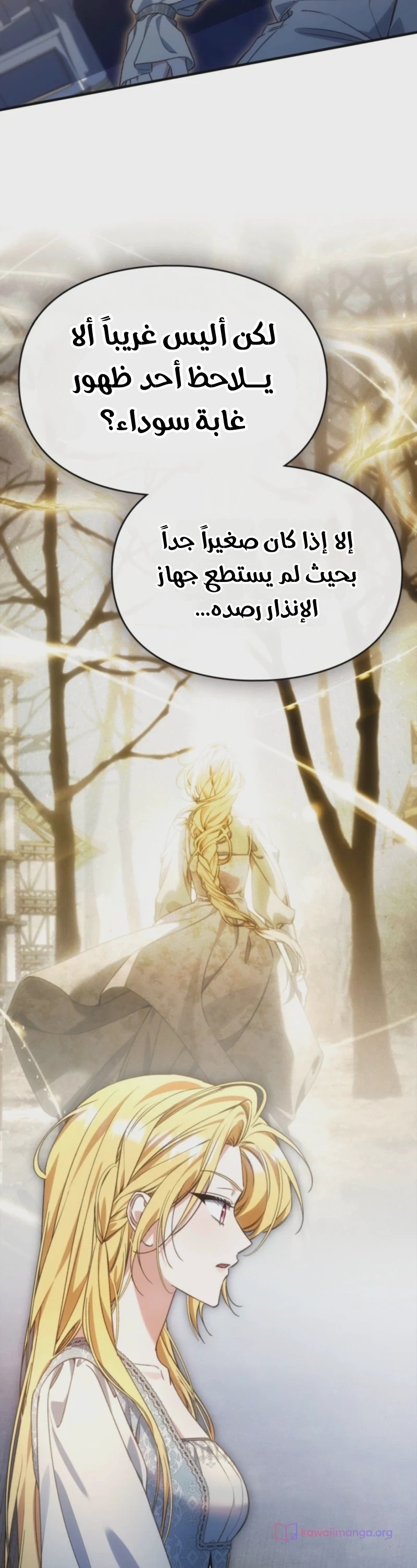 الصفحة 17