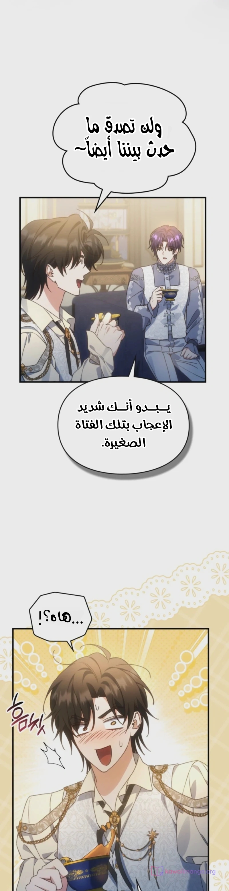 الصفحة 28