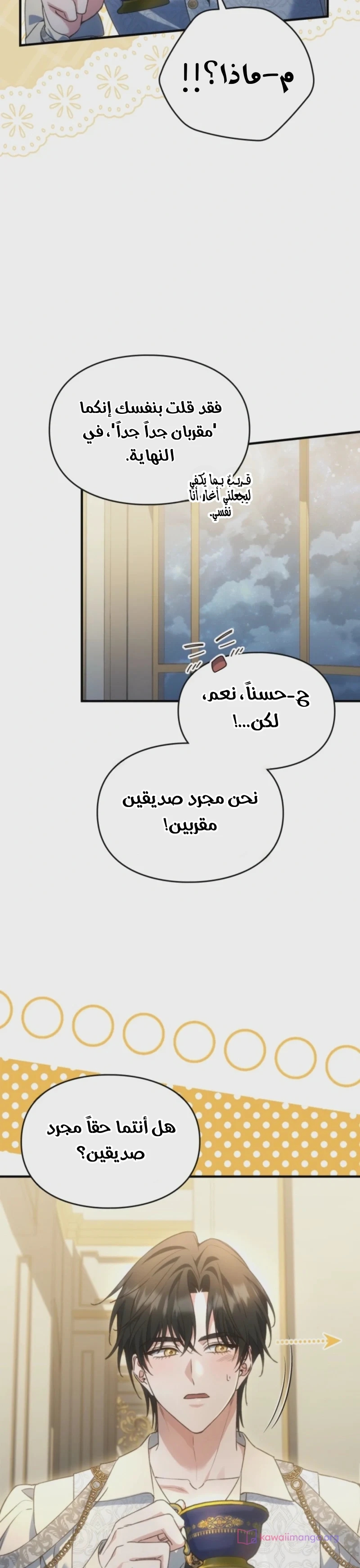 الصفحة 29