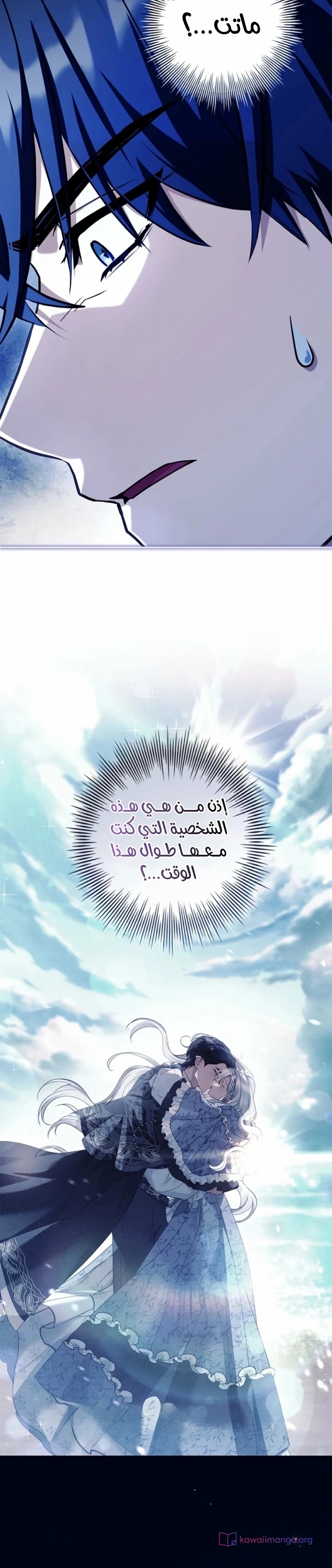 الصفحة 12