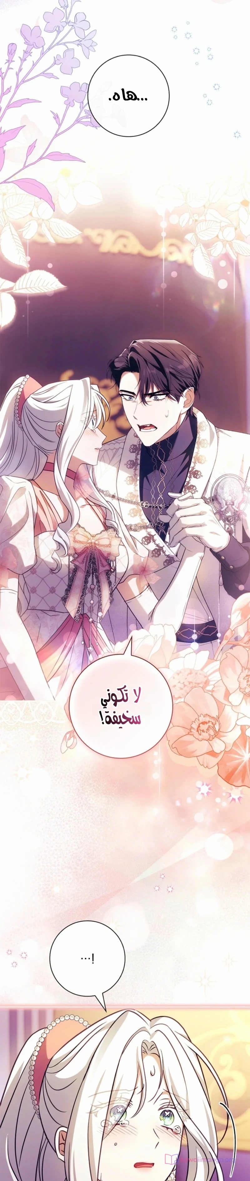 الصفحة 25