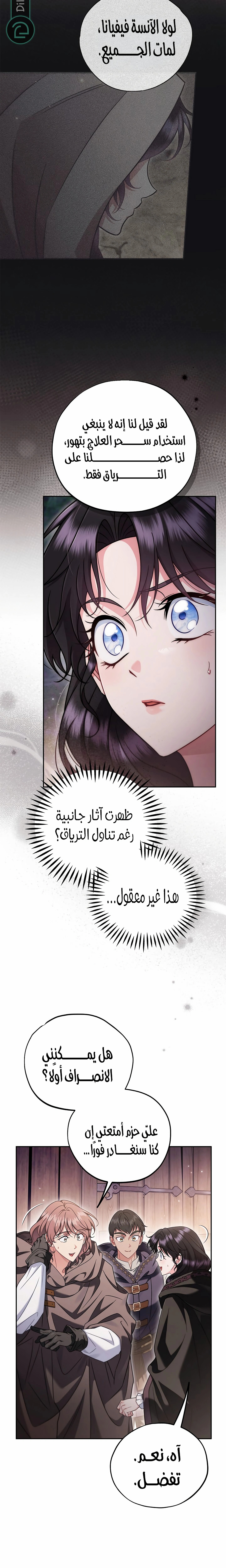 الصفحة 13
