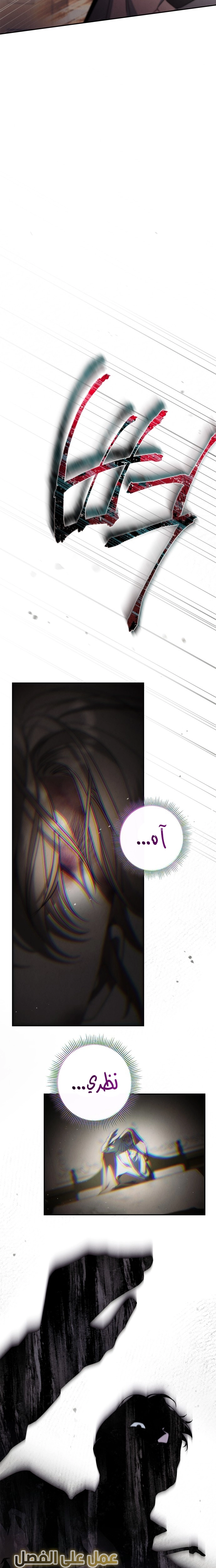 الصفحة 25