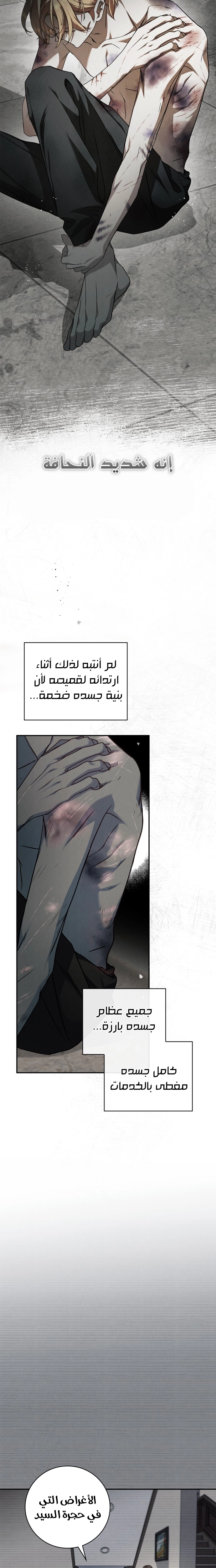 الصفحة 12