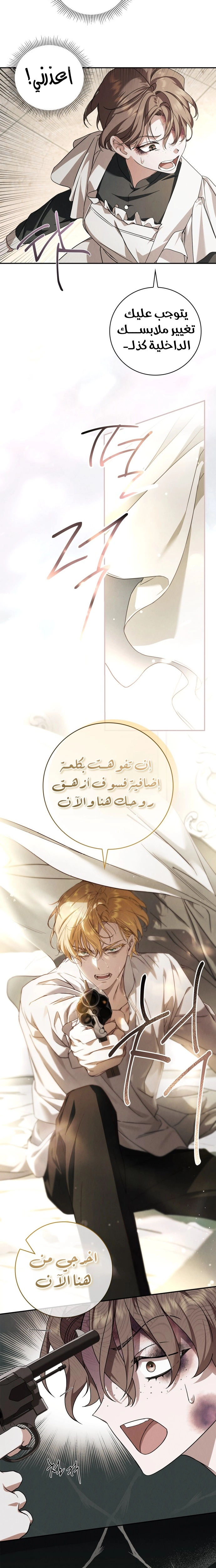 الصفحة 17