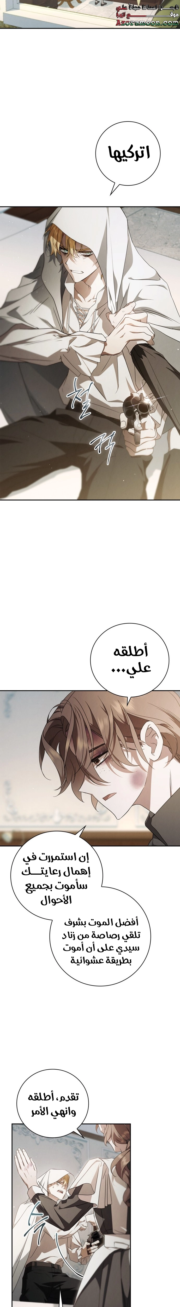 الصفحة 17