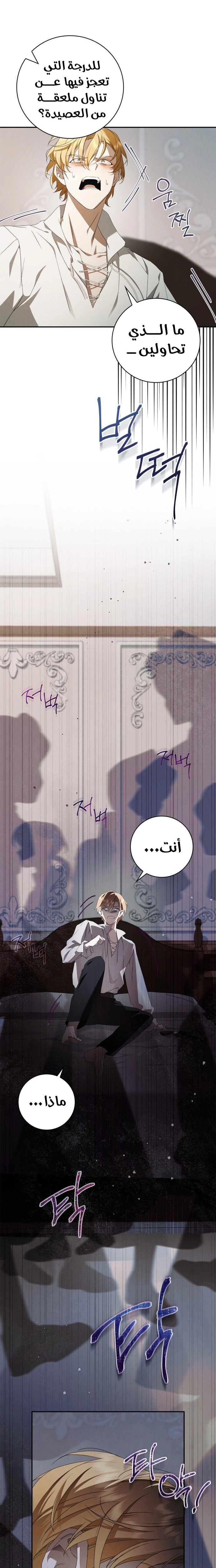 الصفحة 24