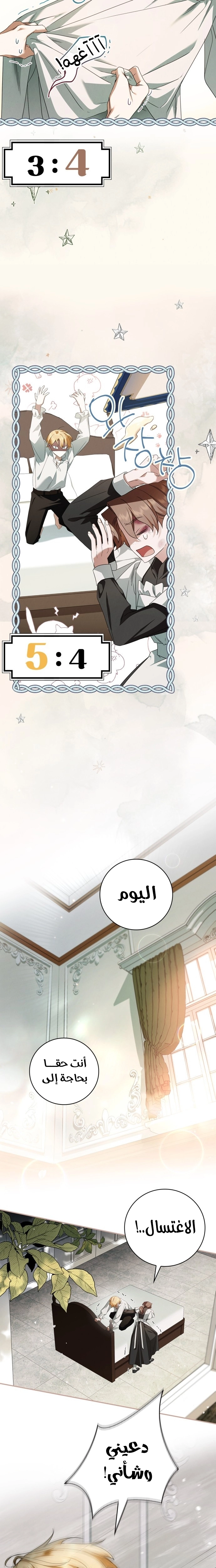 الصفحة 13
