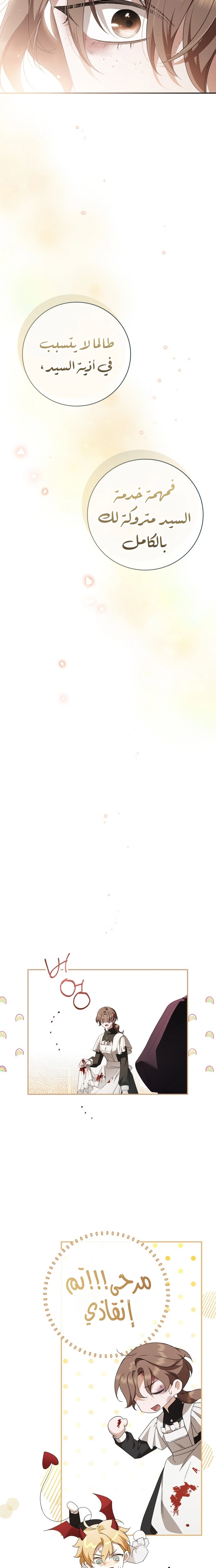 الصفحة 17