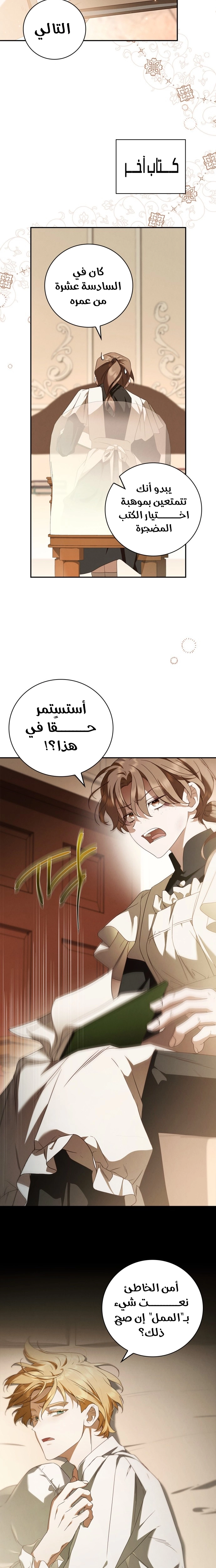 الصفحة 17