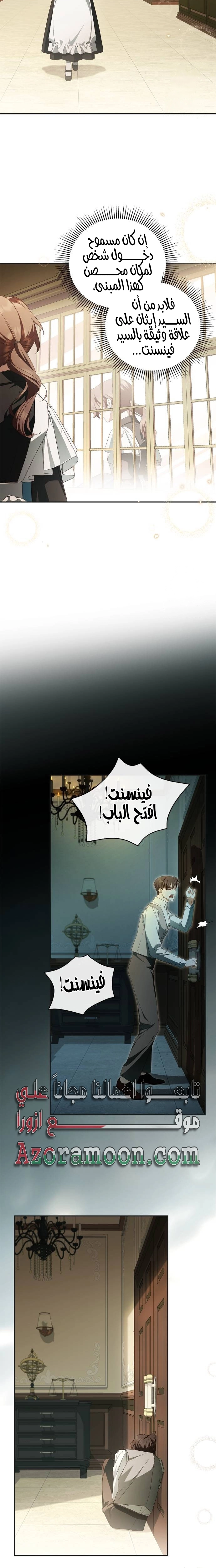الصفحة 17