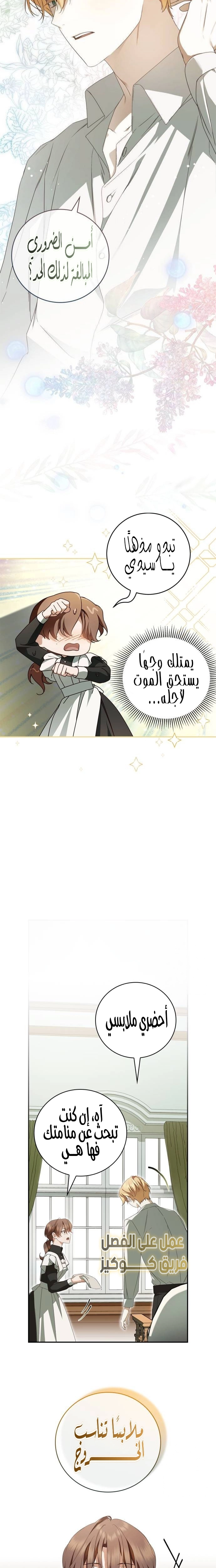 الصفحة 27