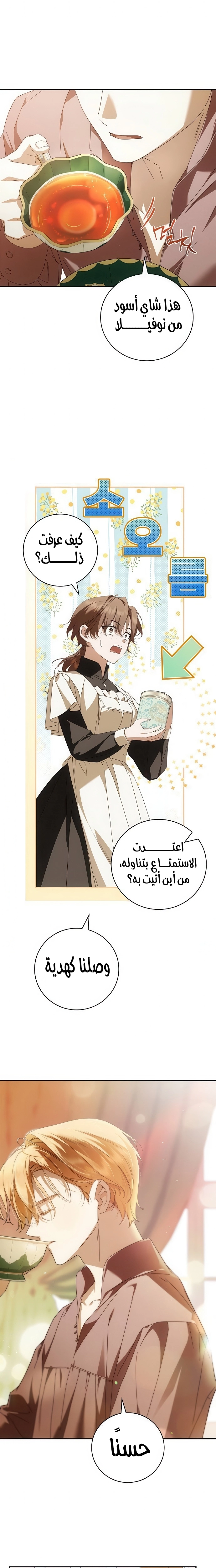 الصفحة 13