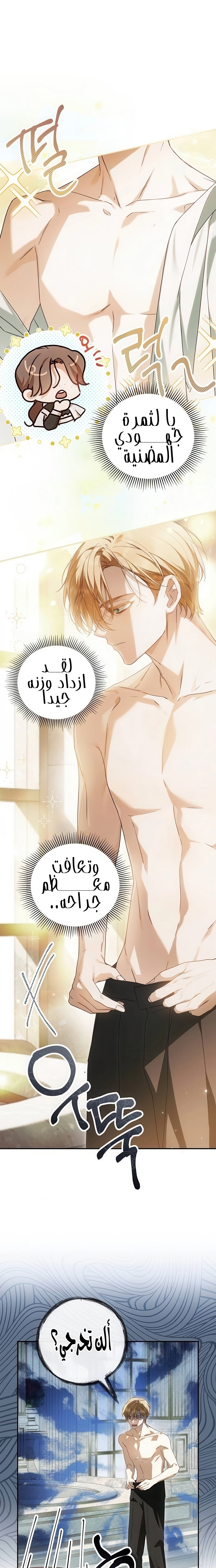 الصفحة 8
