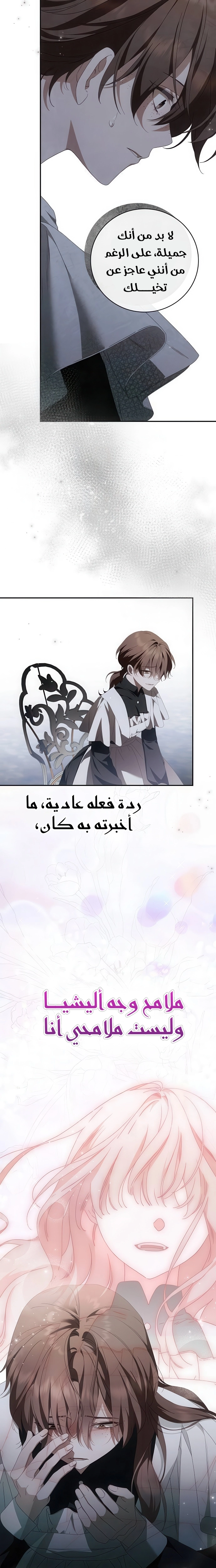 الصفحة 17