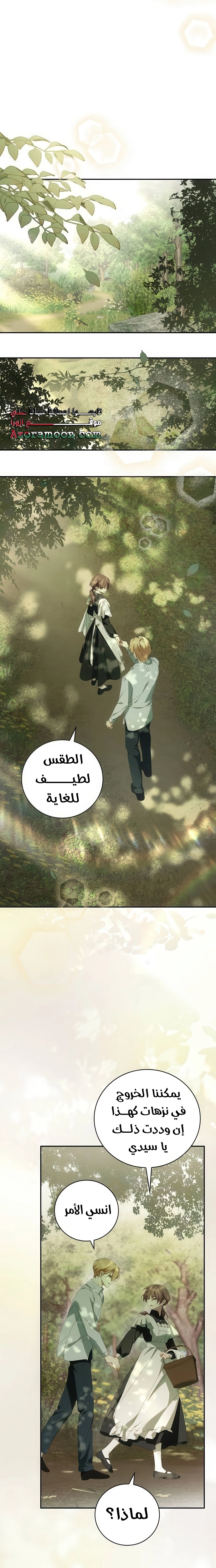 الصفحة 25