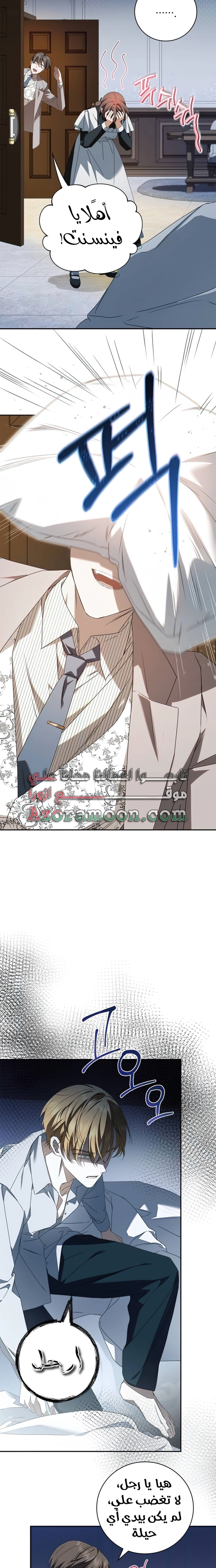 الصفحة 17