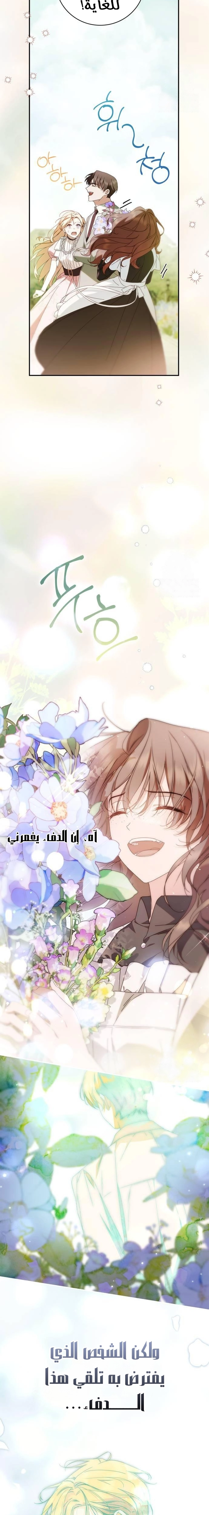 الصفحة 17