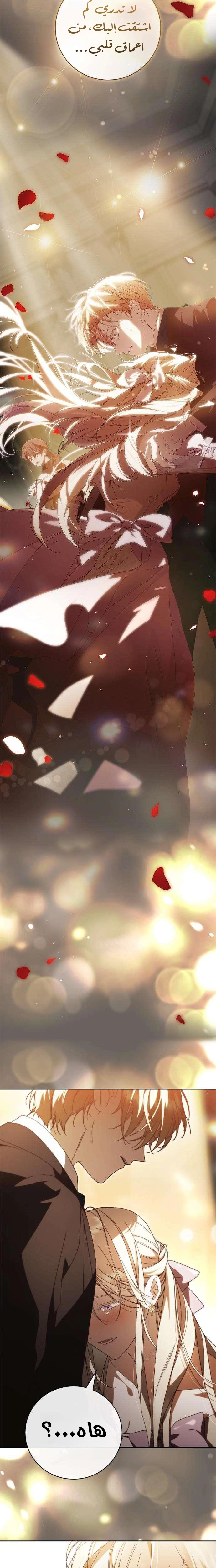 الصفحة 20