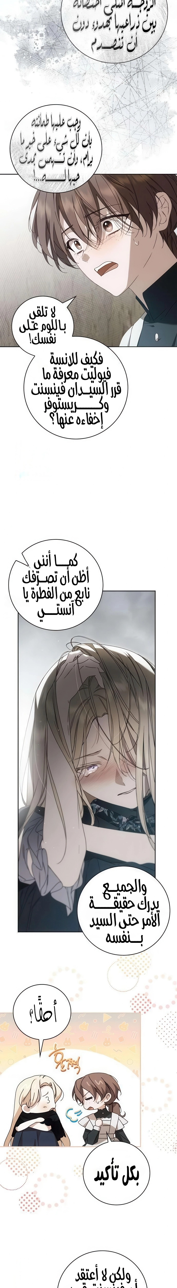 الصفحة 17