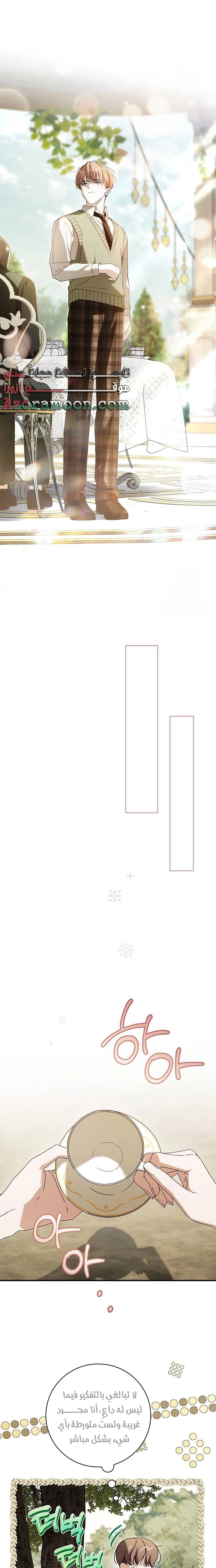 الصفحة 17