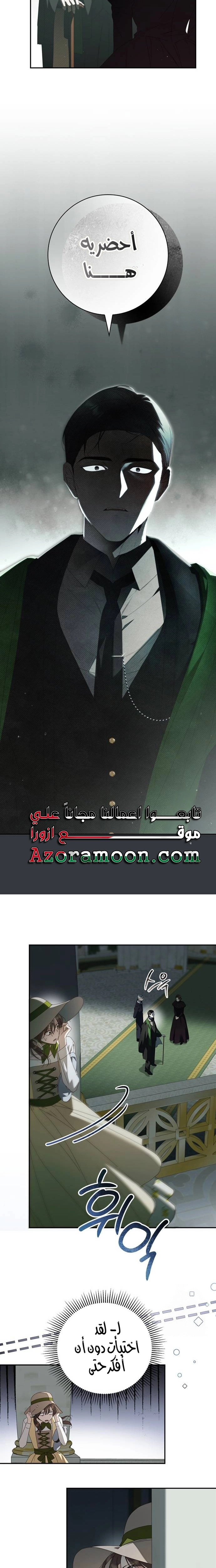 الصفحة 25