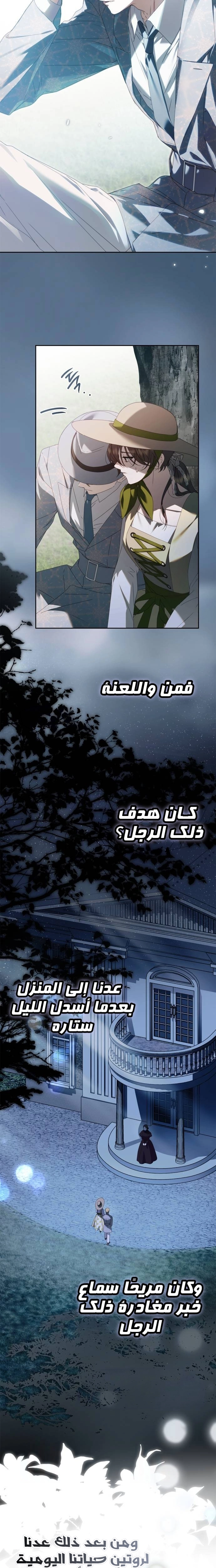 الصفحة 17