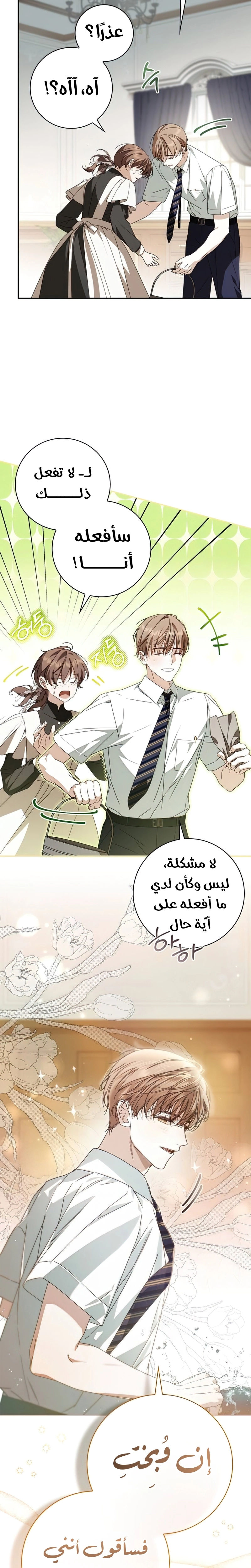 الصفحة 17