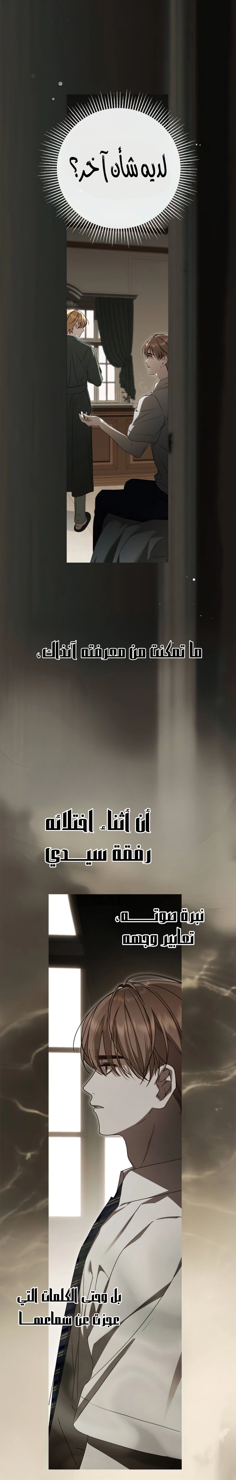 الصفحة 20