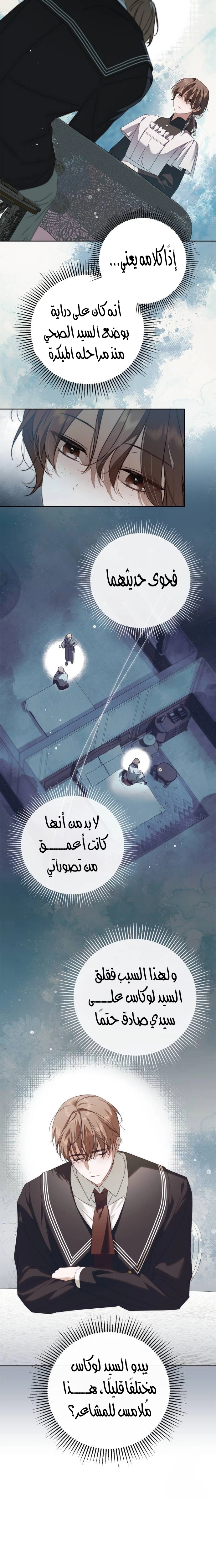 الصفحة 17