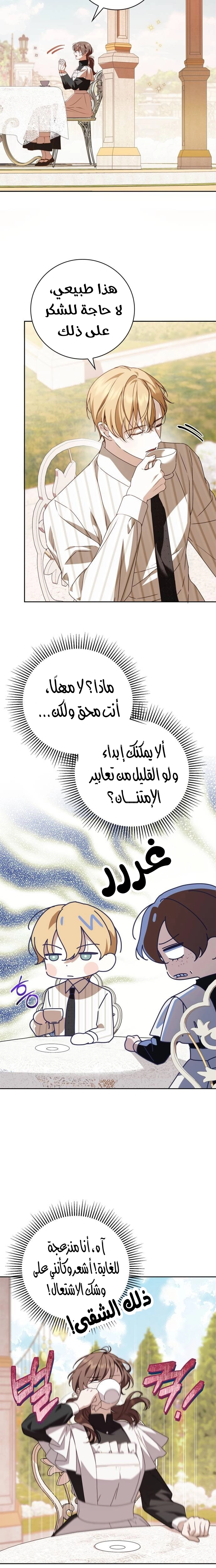 الصفحة 19