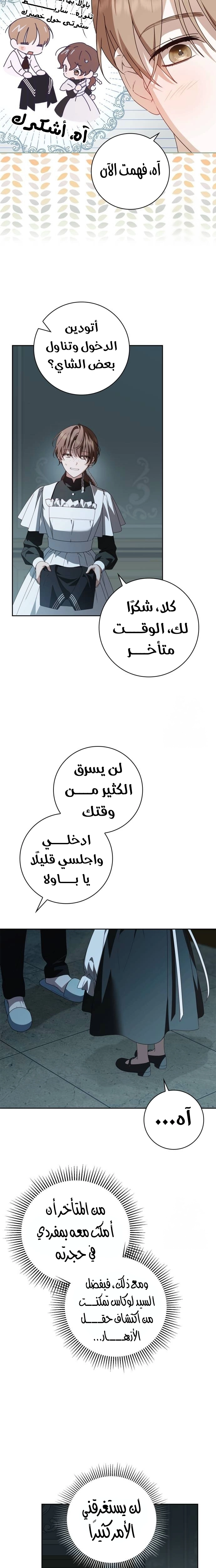 الصفحة 21