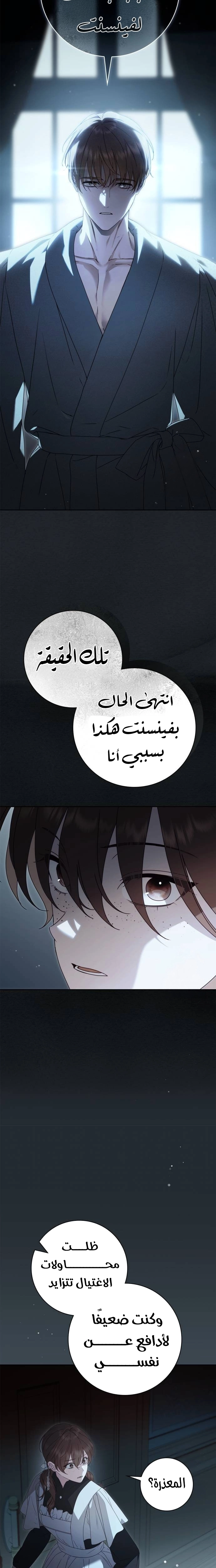 الصفحة 25