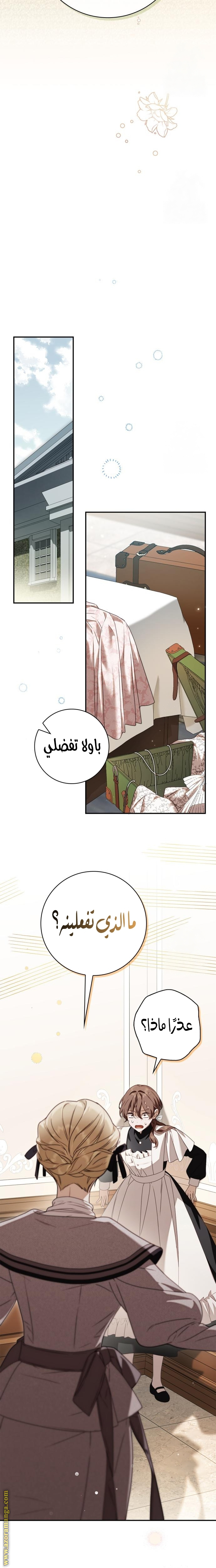 الصفحة 25