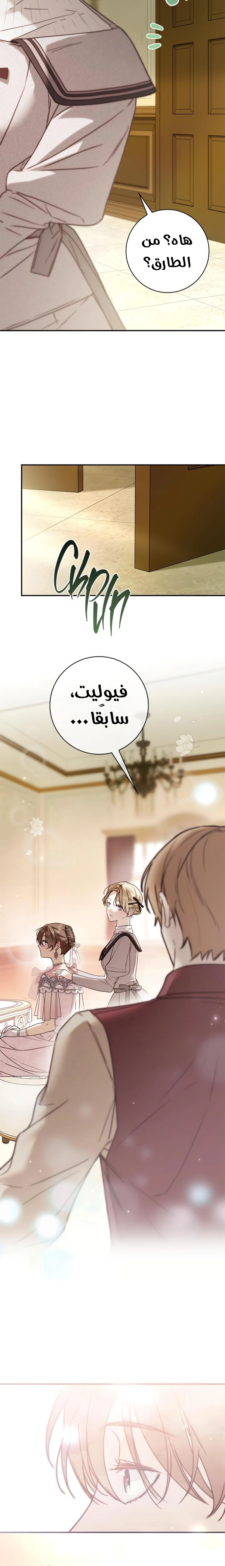 الصفحة 24