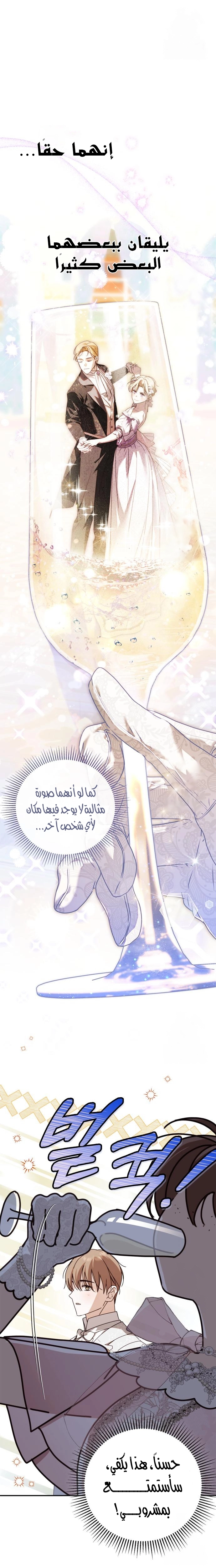 الصفحة 21