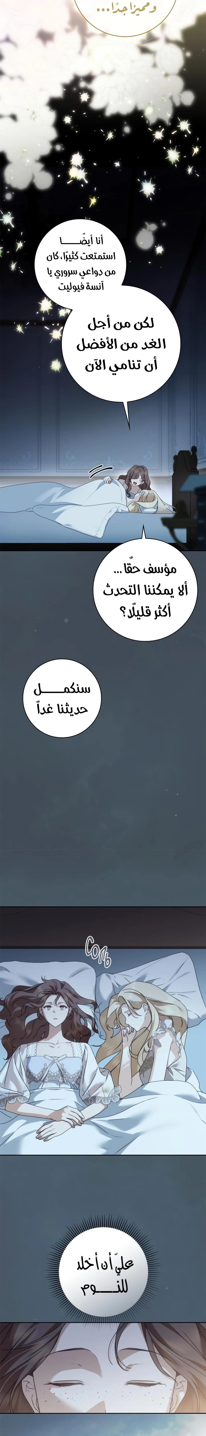 الصفحة 17