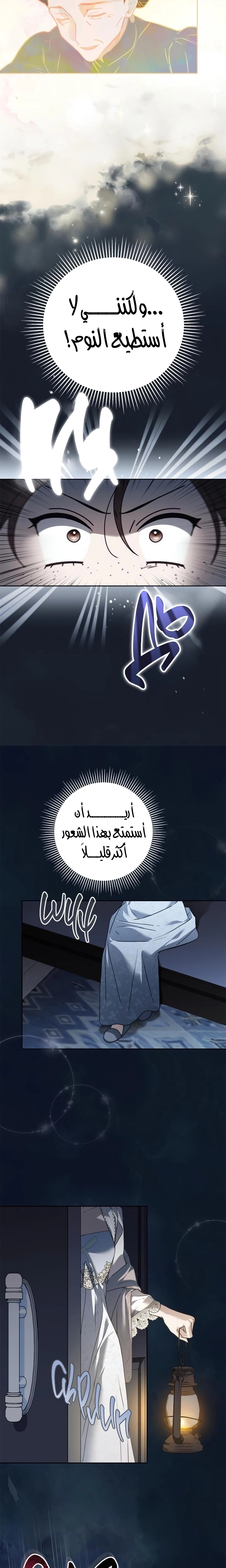 الصفحة 19