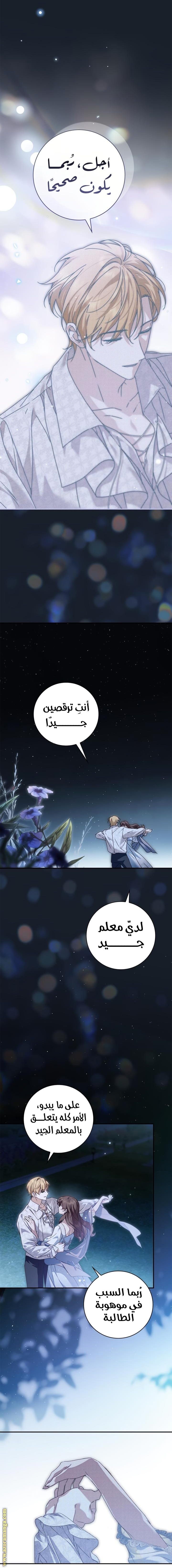 الصفحة 17