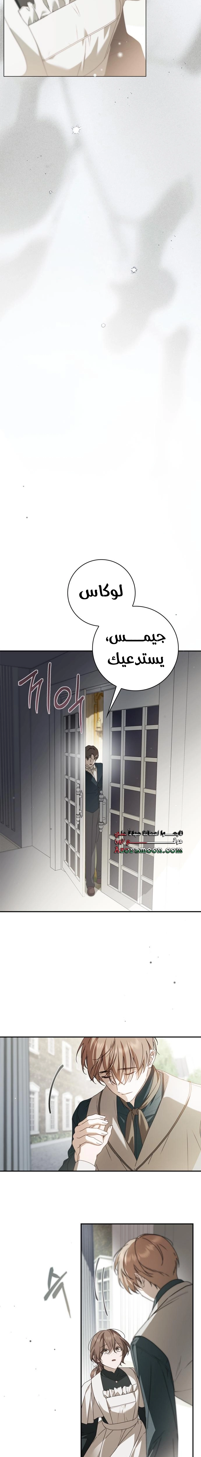الصفحة 14