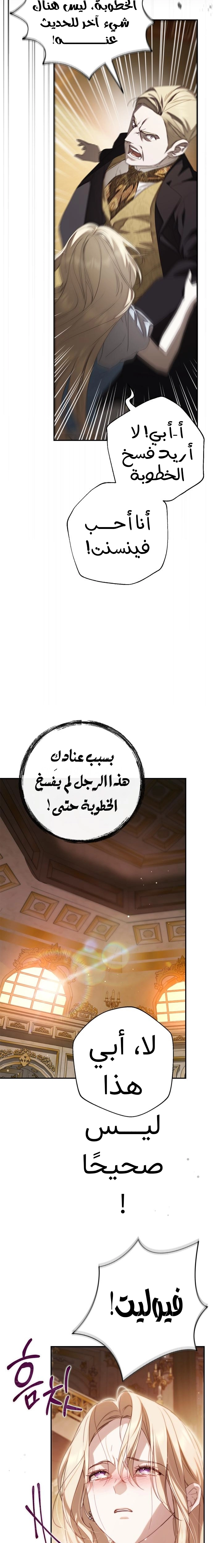 الصفحة 26