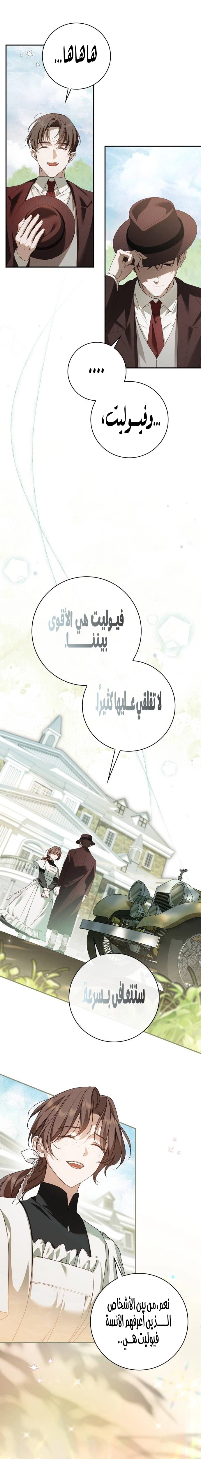 الصفحة 13