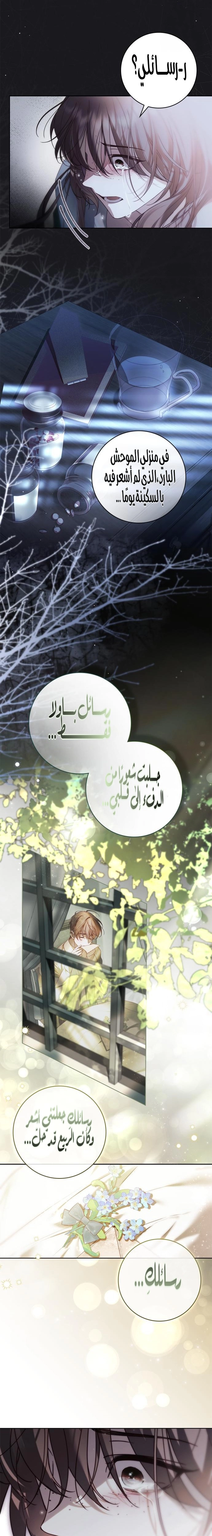 الصفحة 13