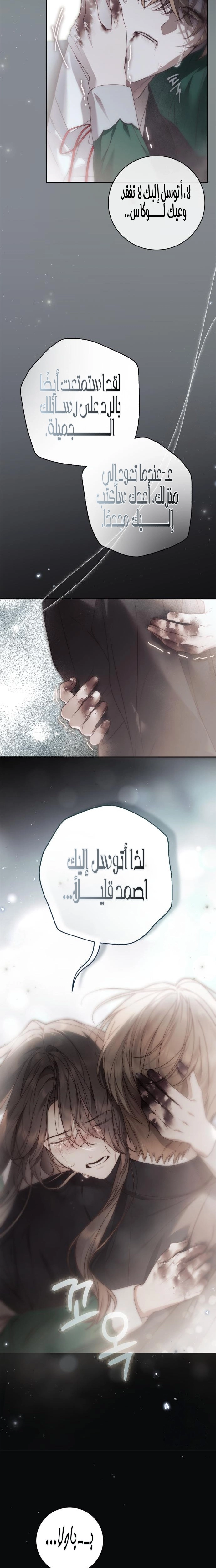 الصفحة 16