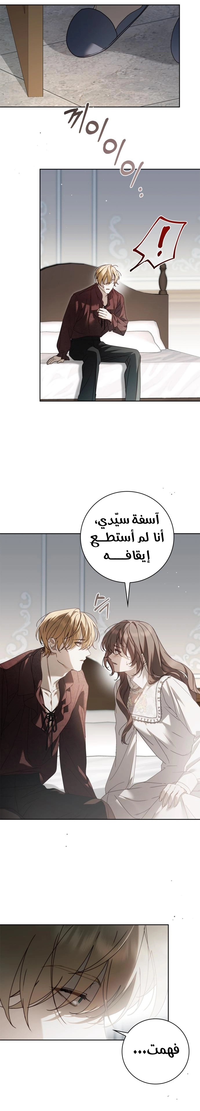 الصفحة 20