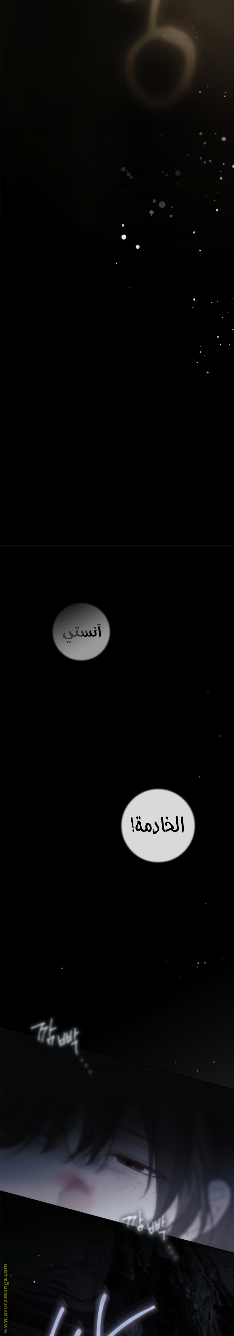 الصفحة 19